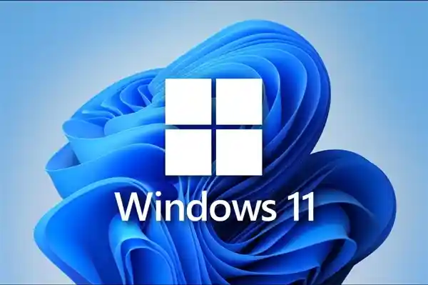 Windows 11更新暗藏硬盘杀手？微软紧急介入调查！