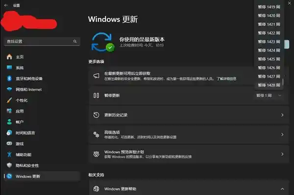 6TB企业硬盘遭Win11吞噬?教你一招彻底屏蔽系统更新!